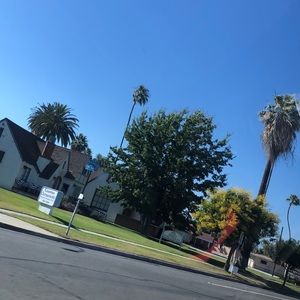 Meet your Posher, Daisy